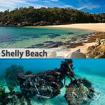 Shelly Beach Shore Dive Package Expedition Dive Shelly Beach Shore Dive Package Expedition Dive